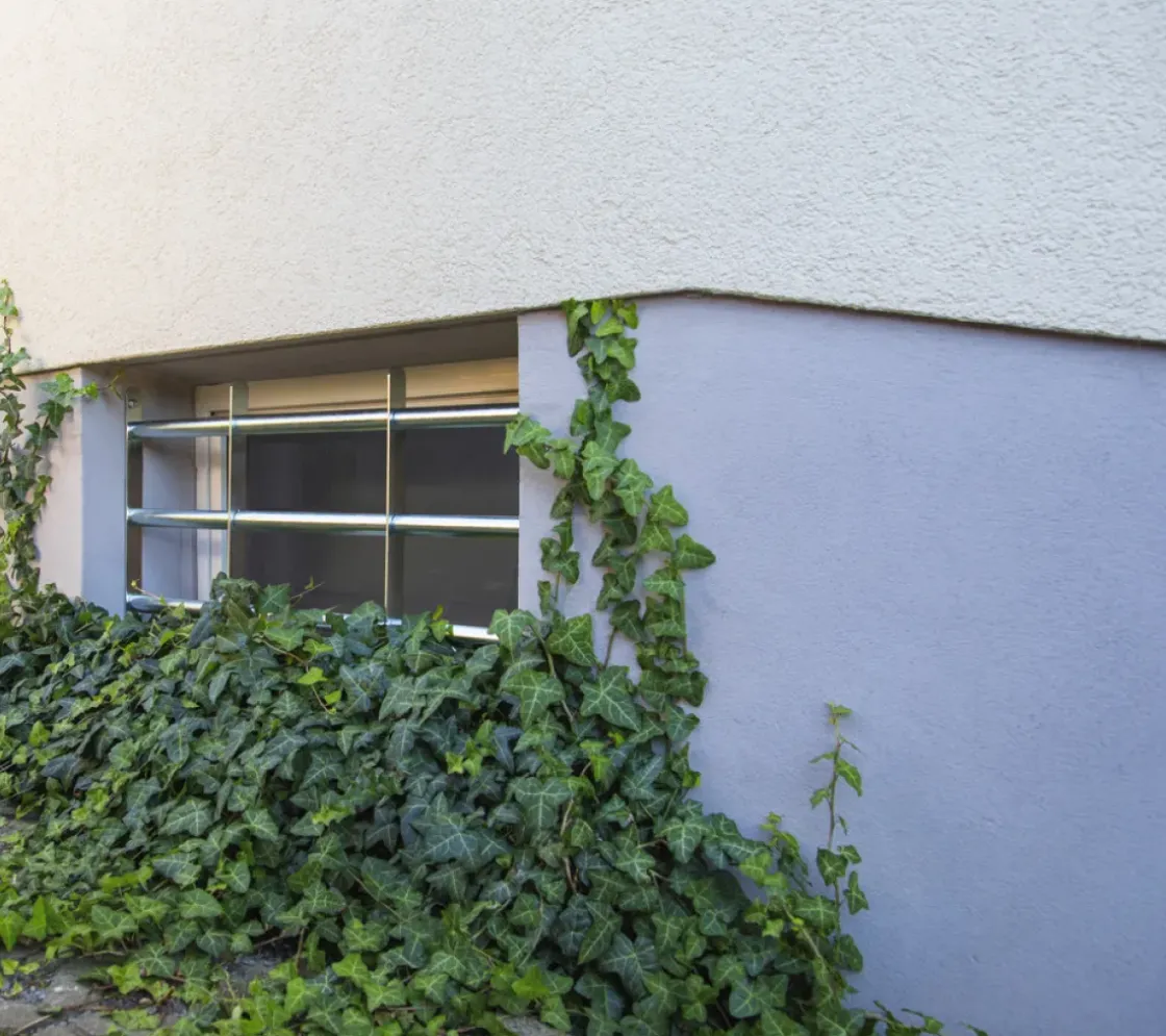 Abus Vensterrooster Fgi7300 700-1050X300Mm-Brico Outlet