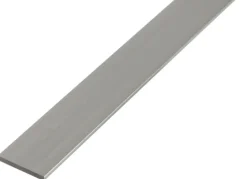 Alberts Vlak Profiel Aluminium 60X3Mm 2,6M-Brico