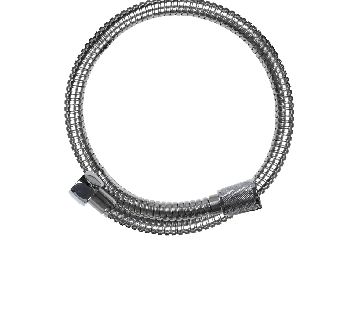 Brico Aquavive Doucheslang Rvs 80Cm Chroom Best