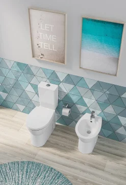Brico Aquavive Duoblok Toilet Cormor I Universele Afvoeri Randloos Toiletpot Wit