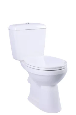 Brico Aquavive Duoblok Toilet Ippari I Pk Aansluiting I Soft-Close Toiletzitting Wit Hot