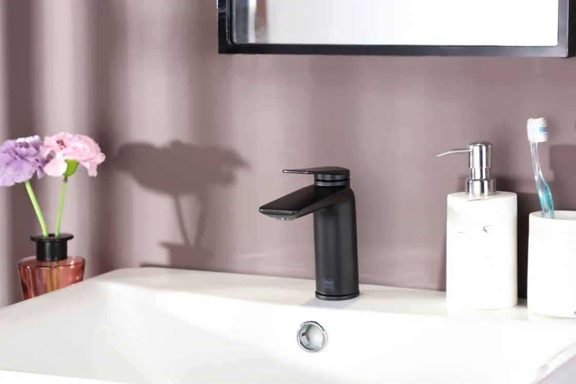 Brico Aquavive Wastafelmengkraan Irminio R Laag Zwart Best