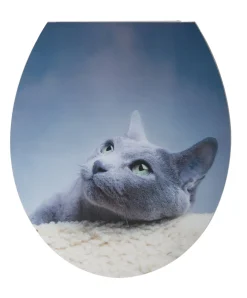 Brico Aquazuro Toiletzitting 3D Kat Duroplast Blauw Outlet