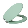 Brico Aquazuro Toiletzitting Mdf Groen New