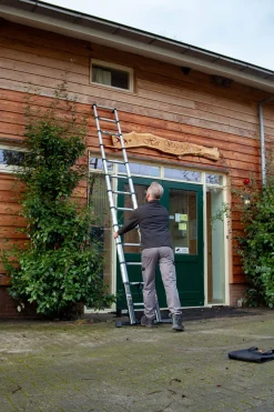 Brico Batavia Professionele Telescoopladder 3.81M Sale