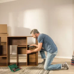 Brico Bosch Accu Schroefmachine Pushdrive 3,6V (1 Accu) Online