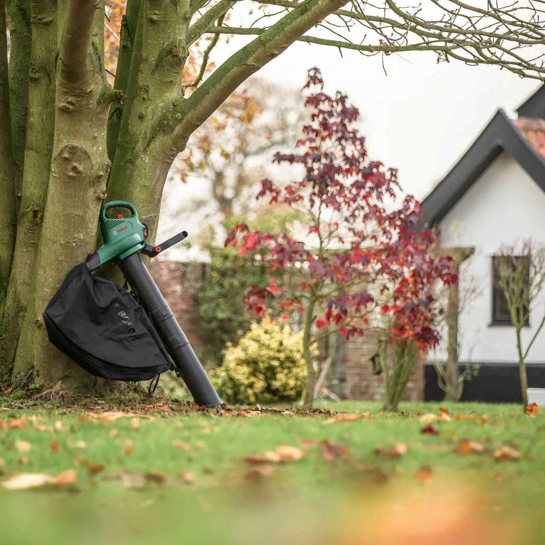 Brico Bosch Bladblazer En Bladruimer Universalgardentidy 3000 Sale