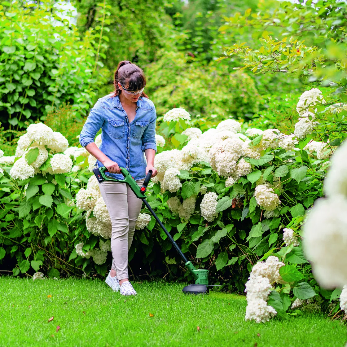 Brico Bosch Grastrimmer Easygrasscut 18V-26 18V 2,5Ah Li-Ion + Lader Clearance