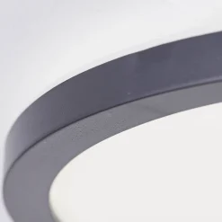 Brico Brilliant Plafondlamp Brennan Zwart 29,4Cm Warm Wit 24W Best