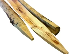 Cartri Tuinpaal Natuurlijk Kastanjehout 160X12X10Cm-Brico Online