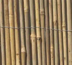 Central Park Balkonscherm Split Bamboe 1.5X5M-Brico Online