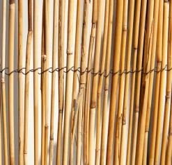 Central Park Balkonscherm Gepeld Riet 1X5M-Brico Hot