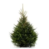 Brico Central Park Kerstboom Epicea 150-200Cm New