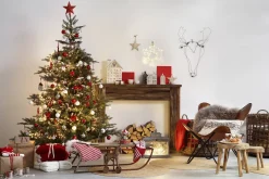 Brico Central Park Kerstboom Nordmann 80-100Cm Online