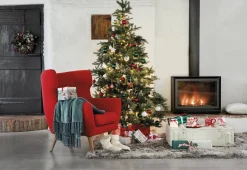 Brico Central Park Kerstboom Nordmann 200-250Cm New