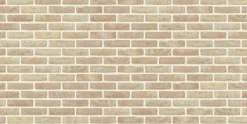 Brico Coeck Gevelsteen Anderlecht Mod50 190X90X50Mm Hot
