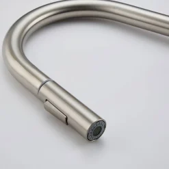 Brico Croom Keukenkraan Nymex - Uittrekbare Uitloop