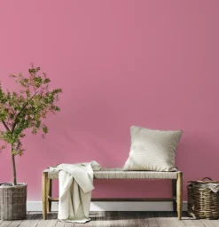 Decoverf Muurverf Licht Roze, 4L-Brico Discount