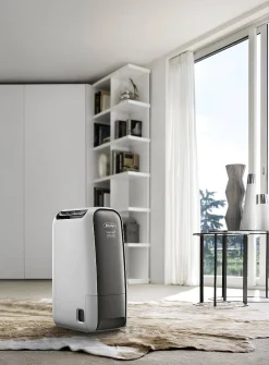 Brico De'Longhi Luchtontvochtiger Dns65 Hot
