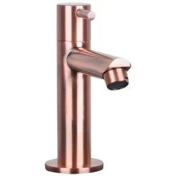 Brico Differnz Fonteinkraan Mix&Match Recht Rood Koper Best