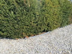 Eco Edge Kantopsluiting Rol - Zwart - 1000 X 14 X 0,7 Cm-Brico Outlet