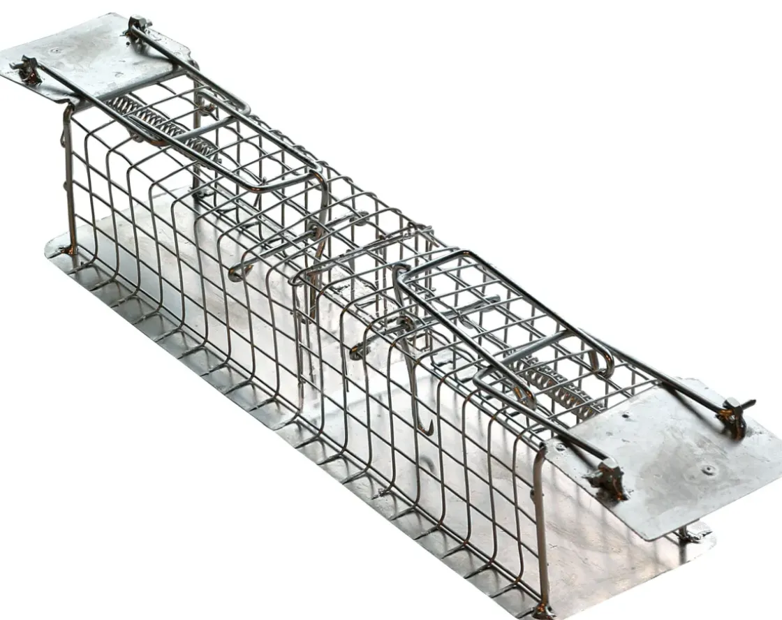 Edialux Muizenvangkooi Met 2 Ingangen-Brico New