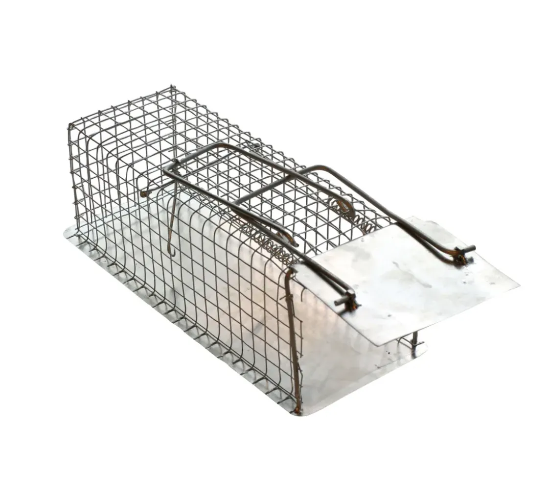 Edialux Rattenvangkooi Met 1 Ingang-Brico Hot