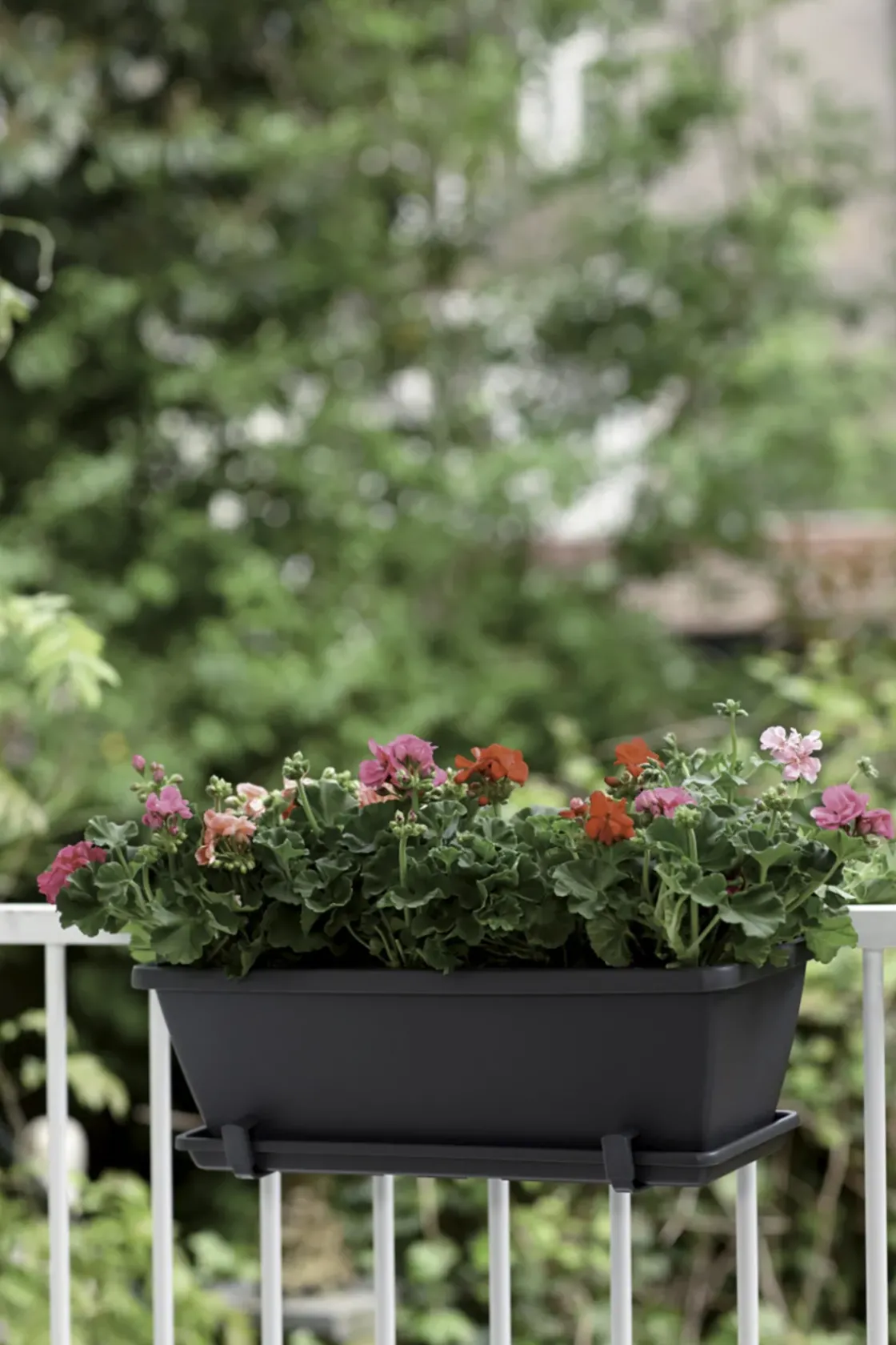 Elho Balkonbak Barcelona 70Cm Antraciet-Brico Outlet