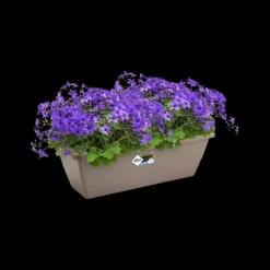 Elho Balkonbak Barcelona 70Cm Taupe-Brico Outlet