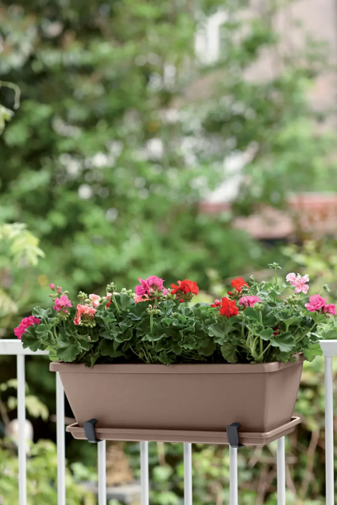 Elho Balkonbak Barcelona 70Cm Taupe-Brico Outlet