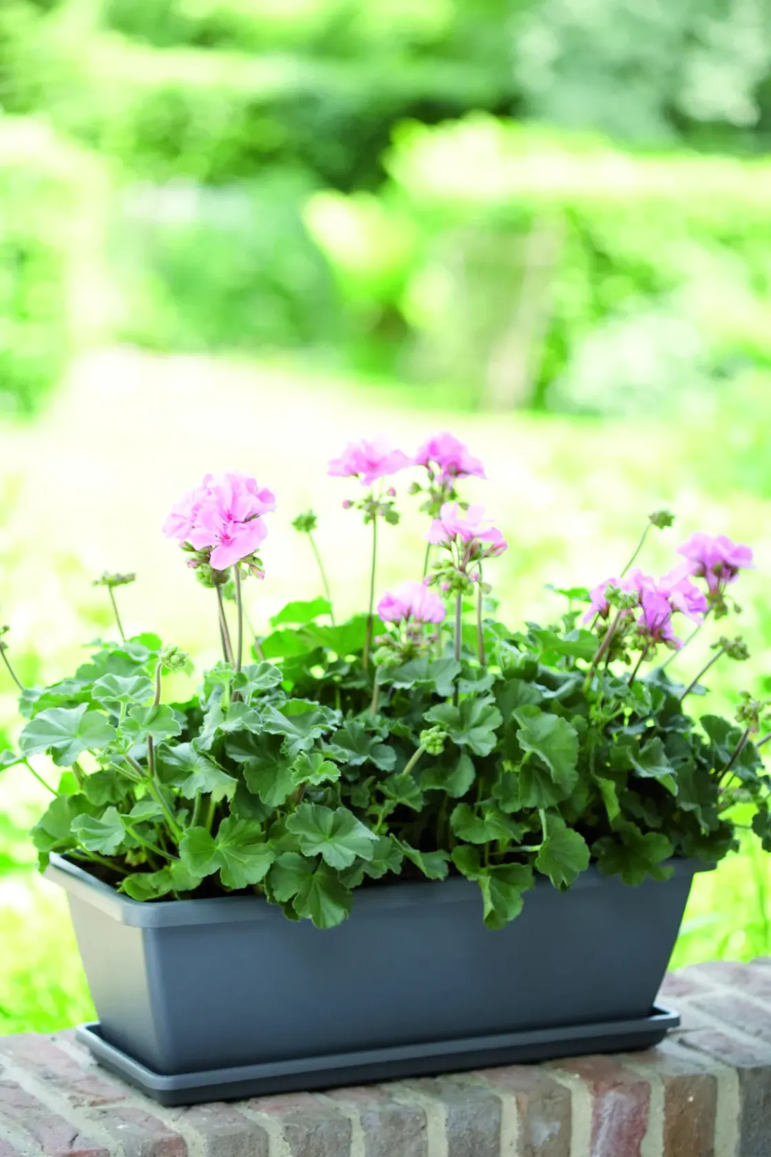 Elho Balkonbak Barcelona 90Cm Antraciet-Brico Discount