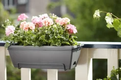 Elho Barcelona All-In-1 O50Cm Antraciet-Brico Sale