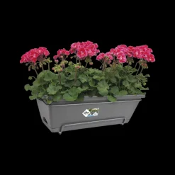 Elho Barcelona All-In-1 O50Cm Antraciet-Brico Sale