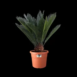 Elho Bloempot Algarve Cilindro Rond O35Cm Terra-Brico New