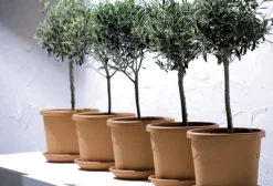 Elho Bloempot Algarve Cilindro Rond Wielen O40Cm Terra-Brico