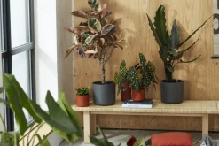 Elho Bloempot B. For Soft Rond O14Cm Antraciet-Brico Hot