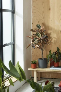 Elho Bloempot B. For Soft Rond O14Cm Antraciet-Brico Hot