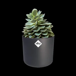 Elho Bloempot B.For Soft Rond O30Cm Antraciet-Brico Clearance