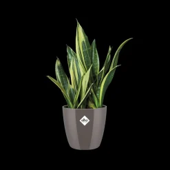 Elho Bloempot Brussels Diamond Rond O25Cm Oyster Pearl-Brico New