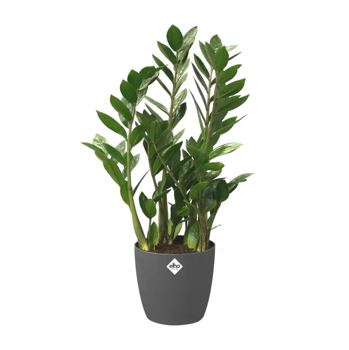 Elho Bloempot Brussels Rond Wielen O35Cm Antraciet-Brico New