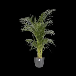 Elho Bloempot Brussels Rond O16Cm Antraciet-Brico Outlet