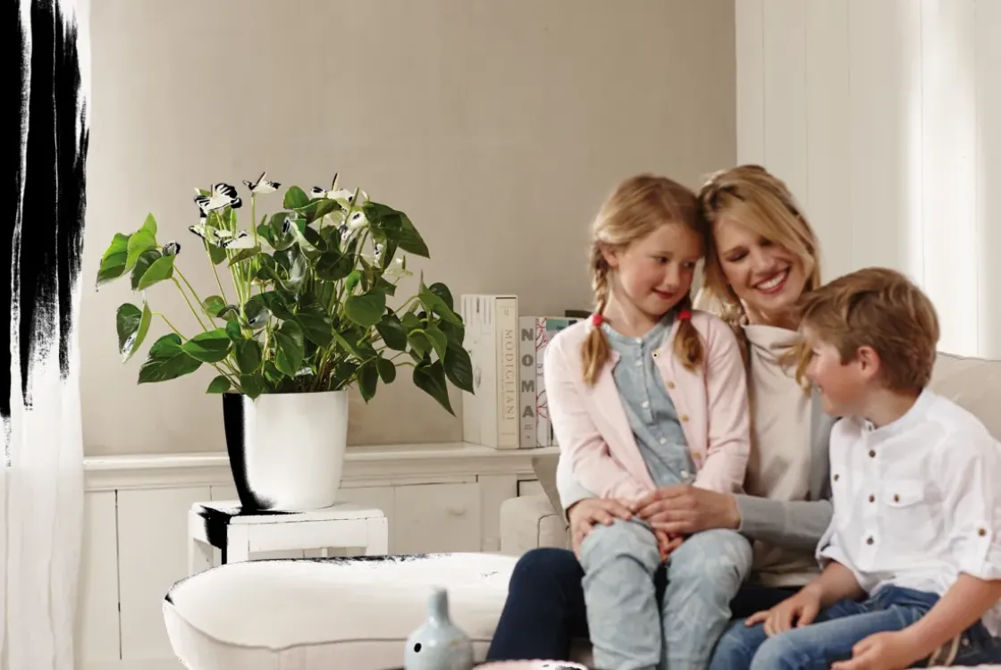 Elho Bloempot Brussels Rond O25Cm Wit-Brico Clearance