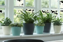 Elho Bloempot Brussels Rond O25Cm Wit-Brico Clearance