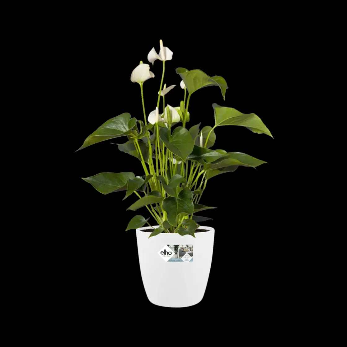 Elho Bloempot Brussels Rond O25Cm Wit-Brico Clearance