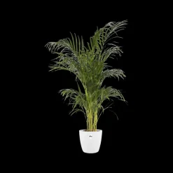 Elho Bloempot Brussels Rond O25Cm Wit-Brico Clearance