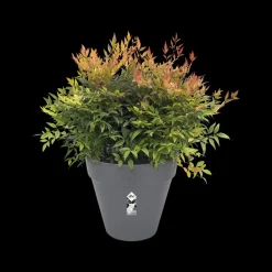 Elho Bloempot Loft Urban Rond Wielen O40Cm Antraciet-Brico