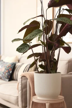 Elho Bloempot Vibes Fold Rond O30Cm Wit-Brico Outlet