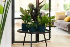 Elho Bloempot Vibes Fold Rond O22Cm Deep Blue-Brico Online