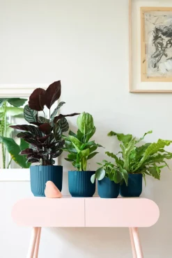 Elho Bloempot Vibes Fold Rond O22Cm Deep Blue-Brico Online