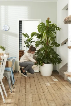 Elho Brussels Rond Wielen O47Cm Wit-Brico Discount